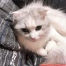 まっちゃん's profile picture