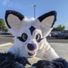 Profilbild von Kerthilas Silverfox 🔞