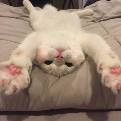 出轨人妻小希's profile picture