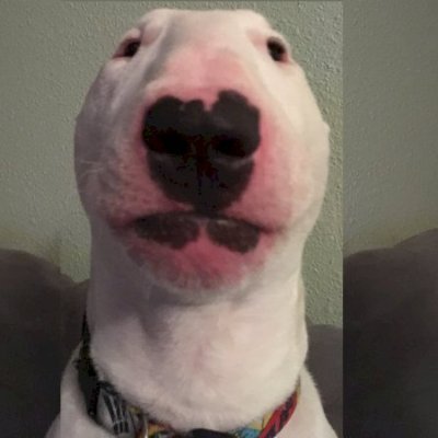 Liwshe's profile picture