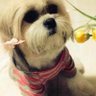 Spicy's profile picture