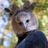 Profilbild von Tlaloc