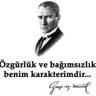 Profilbild von Mehmet Yeğin