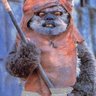 Profilbild von wooga