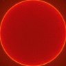 Four Seasons Total Landscaping 的头像