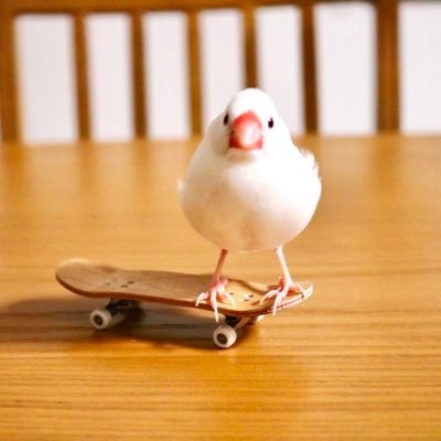 おチビ's profile picture