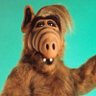 Profilbild von Selaminko
