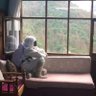 Фото профиля İsim boş bırakılamaz