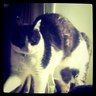 Profilbild von kit887