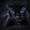 Profilbild von Stones