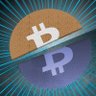 CoinCollector's profile picture