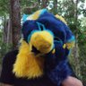 Profilbild von blueberry lemon manokit
