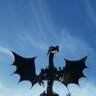 Profilbild von PhoenixCruze