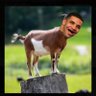 Profilbild von goatnextdoor