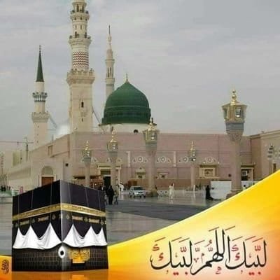 yaseen_hamza313's profile picture