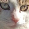 Profilbild von shimachi