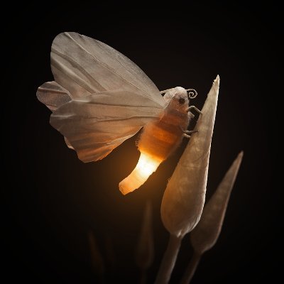 Tom Ostafin | PIROFAUNA wishlist!'s profile picture