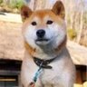 乃愛(昔の名は、じん)'s profile picture
