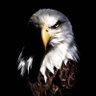 أبن عبدالهادي المطيري profil fotoğrafı