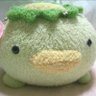 旅人かぱ🐩🌐's profile picture