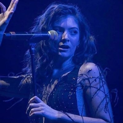 Noah 🩻's profile picture