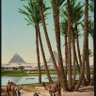 Abdo M Hassan 的头像