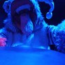 しましまむしくん。 profil fotoğrafı