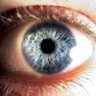 Profilbild von Mark Collins🟧🇺🇦