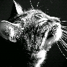 Profilbild von One Moment