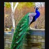 Sekar.s's profile picture