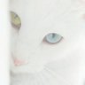 Profilbild von かず