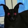 🜏 Punished Floppa 🜏 profil fotoğrafı