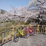 Фото профиля みかん色