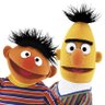 Profilbild von Guille