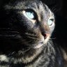 HoneyMoon's profile picture