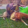 luca profil fotoğrafı