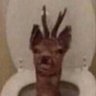 phil's profile picture