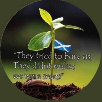 Maureen Flood 💙🏴󠁧󠁢󠁳󠁣󠁴󠁿🇺🇦🇪🇺's profile picture