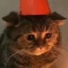 Zeus's profile picture