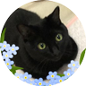 𖤣𖥧𖡼爪猫.𖤣𖥧⚘⡱ profil fotoğrafı