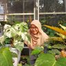 WietS | tukang jual taneman hias ๐ ็ๅคดๅ