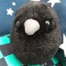 Profilbild von 鎹
