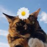 . profil fotoğrafı