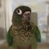 Фото профиля うろこずき