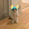 el seita's profile picture