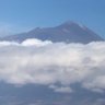Lagunera🌺 的头像