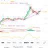 Profilbild von coinyenidunya