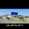 Profilbild von ايمن