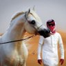 ياسـر الروقي 的头像