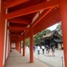 ナンナ 的头像